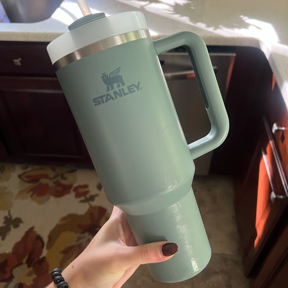 sage green stanley